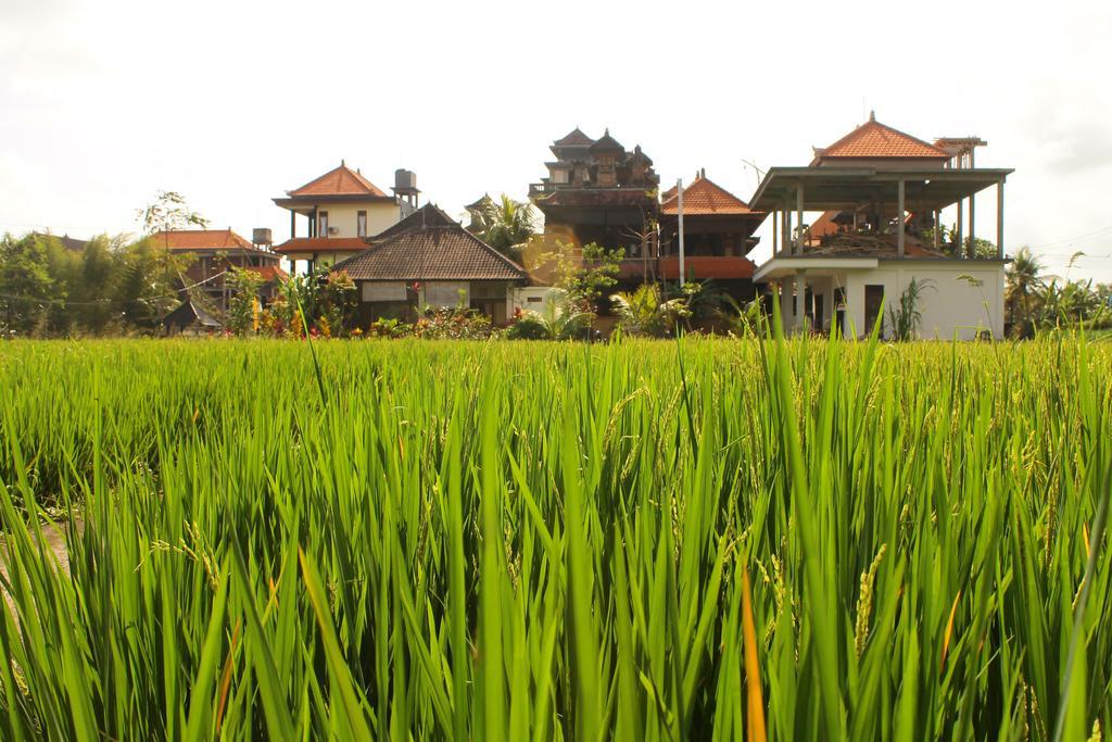 Cenik House Ubud Ngoại thất bức ảnh